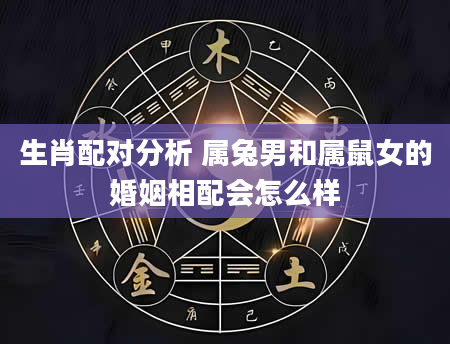 生肖配对分析 属兔男和属鼠女的婚姻相配会怎么样