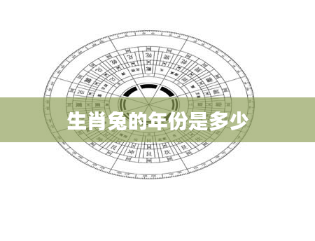 生肖兔的年份是多少