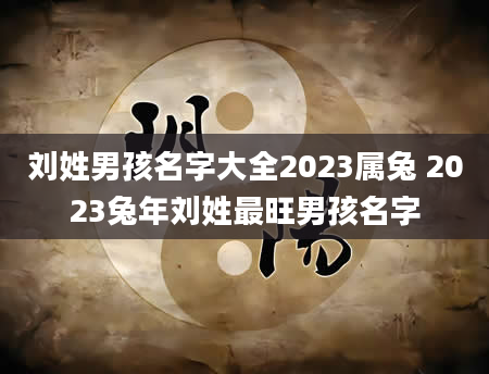 刘姓男孩名字大全2023属兔 2023兔年刘姓最旺男孩名字