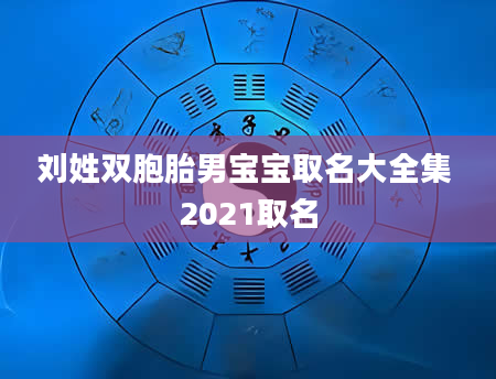 刘姓双胞胎男宝宝取名大全集 2021取名