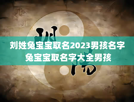 刘姓兔宝宝取名2023男孩名字 兔宝宝取名字大全男孩