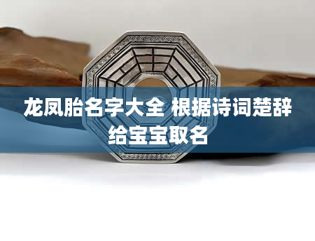 龙凤胎名字大全 根据诗词楚辞给宝宝取名