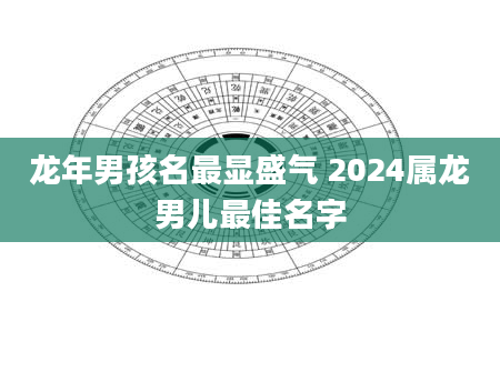 龙年男孩名最显盛气 2024属龙男儿最佳名字