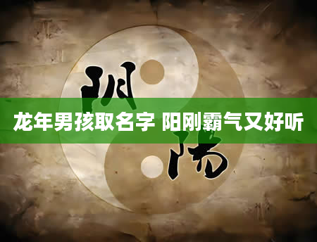 龙年男孩取名字 阳刚霸气又好听