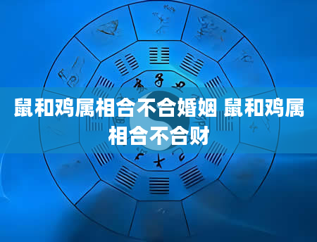 鼠和鸡属相合不合婚姻 鼠和鸡属相合不合财