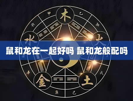 鼠和龙在一起好吗 鼠和龙般配吗
