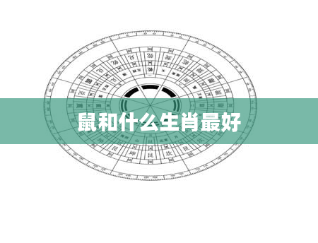 鼠和什么生肖最好