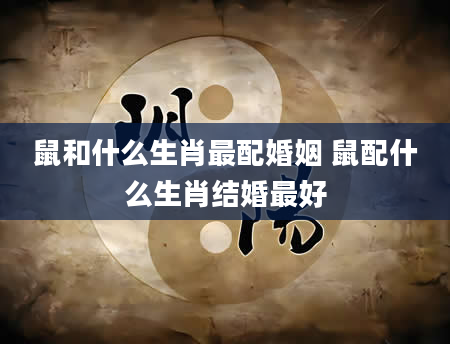 鼠和什么生肖最配婚姻 鼠配什么生肖结婚最好