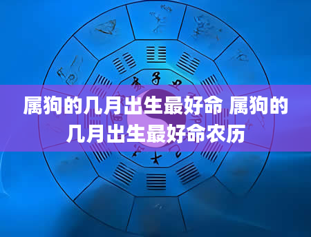 属狗的几月出生最好命 属狗的几月出生最好命农历