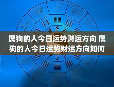 属狗的人今日运势财运方向 属狗的人今日运势财运方向如何