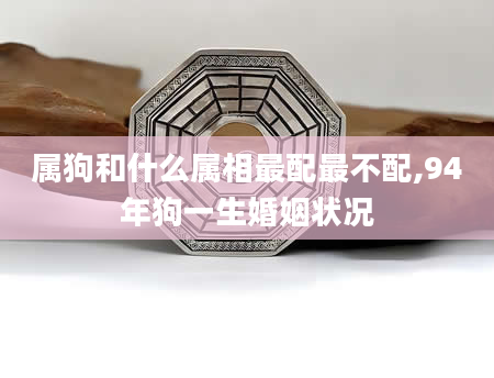 属狗和什么属相最配最不配,94年狗一生婚姻状况