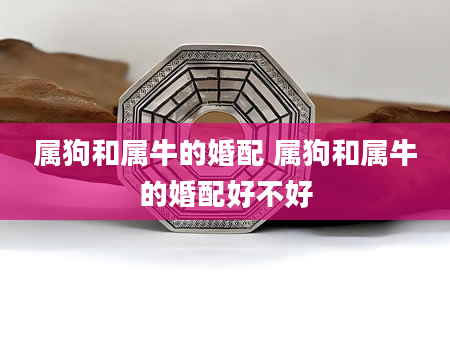 属狗和属牛的婚配 属狗和属牛的婚配好不好