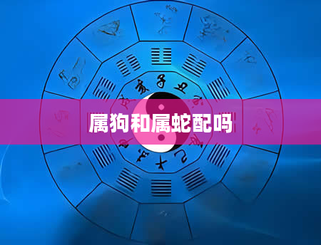 属狗和属蛇配吗
