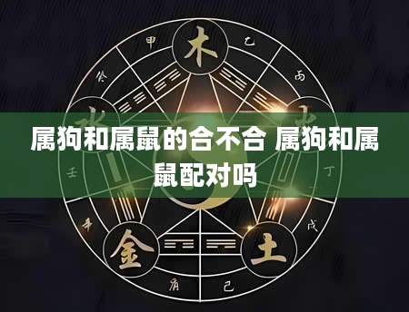属狗和属鼠的合不合 属狗和属鼠配对吗