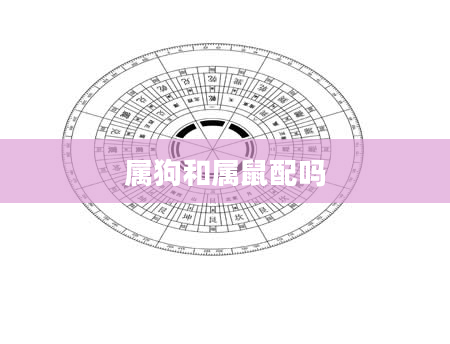 属狗和属鼠配吗