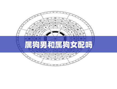 属狗男和属狗女配吗