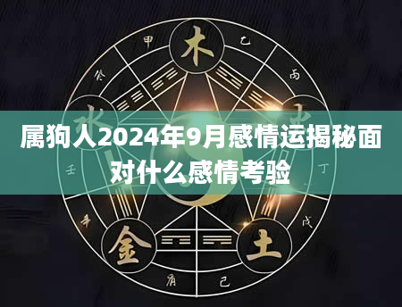 属狗人2024年9月感情运揭秘面对什么感情考验
