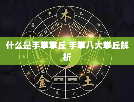 什么是手掌掌丘 手掌八大掌丘解析