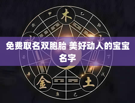 免费取名双胞胎 美好动人的宝宝名字