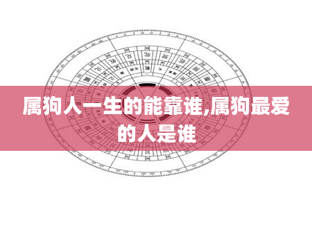 属狗人一生的能靠谁,属狗最爱的人是谁