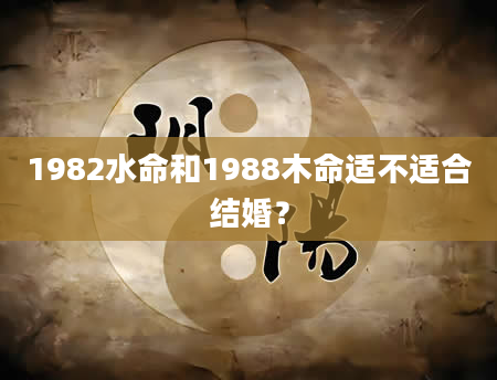 1982水命和1988木命适不适合结婚？