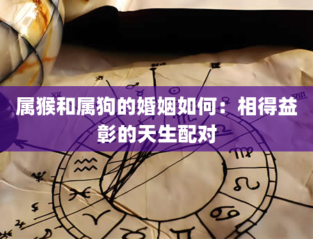 属猴和属狗的婚姻如何：相得益彰的天生配对