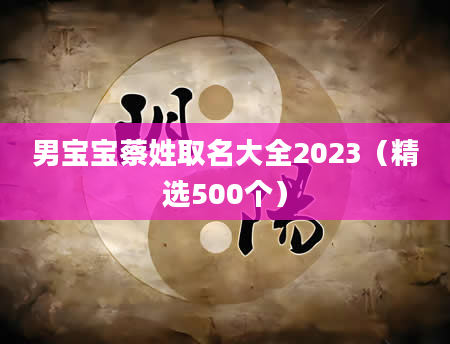 男宝宝蔡姓取名大全2023（精选500个）