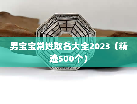 男宝宝常姓取名大全2023（精选500个）