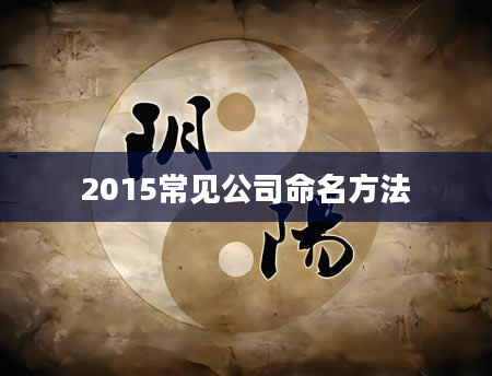 2015常见公司命名方法