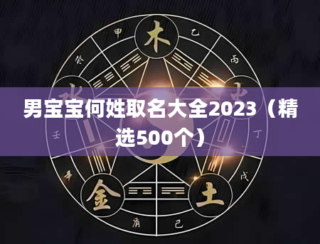 男宝宝何姓取名大全2023（精选500个）