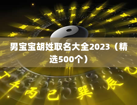 男宝宝胡姓取名大全2023（精选500个）