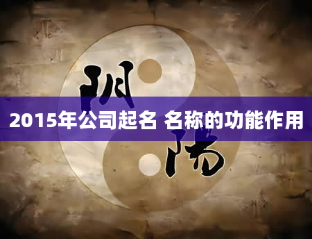 2015年公司起名 名称的功能作用