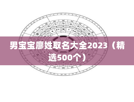 男宝宝廖姓取名大全2023（精选500个）