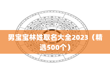 男宝宝林姓取名大全2023（精选500个）