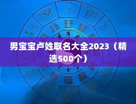 男宝宝卢姓取名大全2023（精选500个）