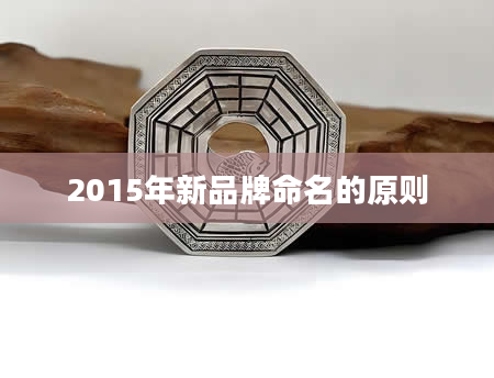 2015年新品牌命名的原则