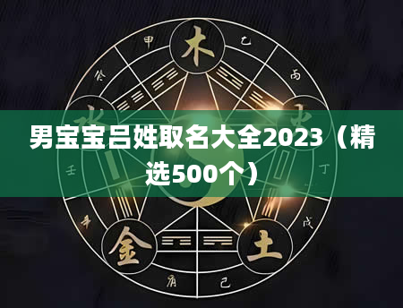 男宝宝吕姓取名大全2023（精选500个）