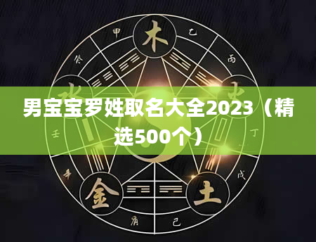 男宝宝罗姓取名大全2023（精选500个）