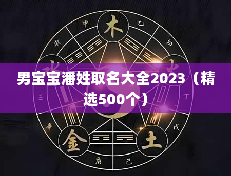 男宝宝潘姓取名大全2023（精选500个）