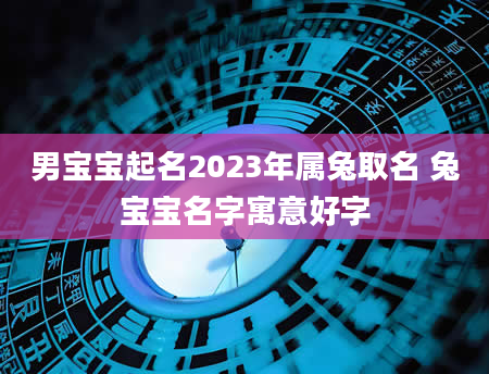 男宝宝起名2023年属兔取名 兔宝宝名字寓意好字