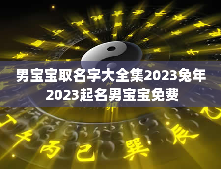 男宝宝取名字大全集2023兔年 2023起名男宝宝免费