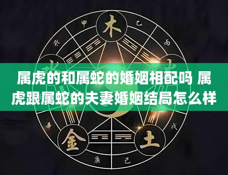 属虎的和属蛇的婚姻相配吗 属虎跟属蛇的夫妻婚姻结局怎么样