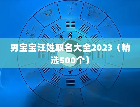 男宝宝汪姓取名大全2023（精选500个）