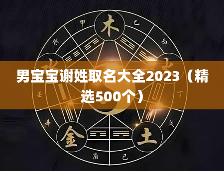 男宝宝谢姓取名大全2023（精选500个）