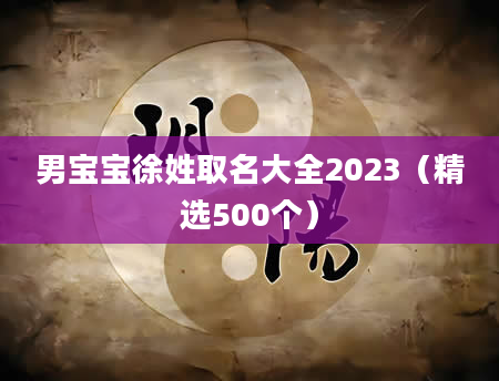 男宝宝徐姓取名大全2023（精选500个）