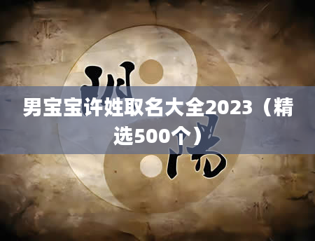 男宝宝许姓取名大全2023（精选500个）