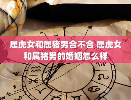 属虎女和属猪男合不合 属虎女和属猪男的婚姻怎么样