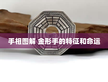 手相图解 金形手的特征和命运