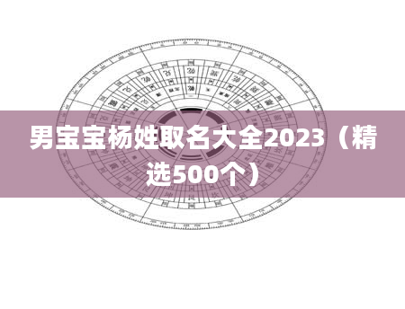 男宝宝杨姓取名大全2023（精选500个）