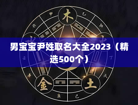 男宝宝尹姓取名大全2023（精选500个）